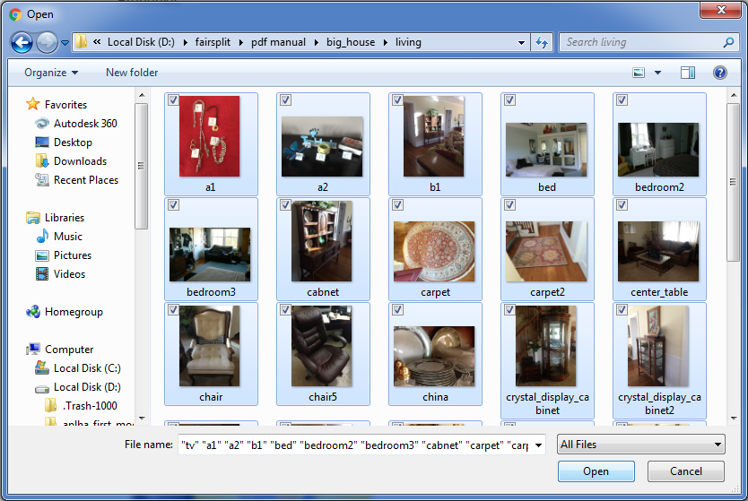 File selection window from the OS
